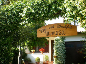  Bed and Breakfast Mimosa  Касчина